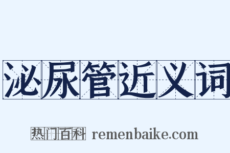 泌尿管近义词是什么意思的图片